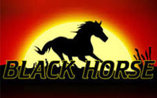 Игровой автомат Black Horse